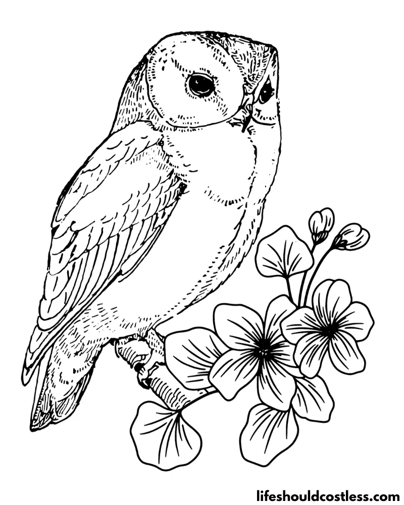 Floral Color Pages Owl Example