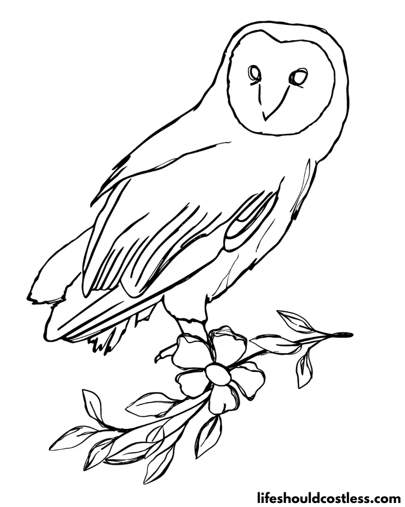 Floral Doodle Coloring Page Owl Example