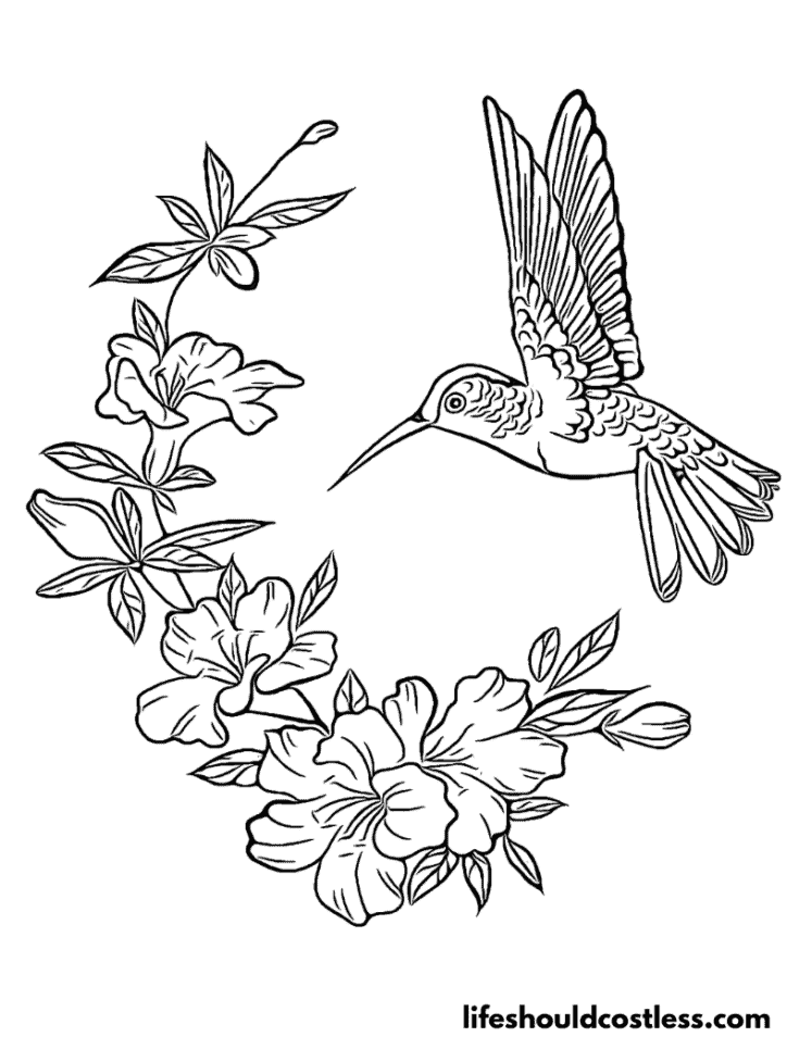Hummingbird with floral print example