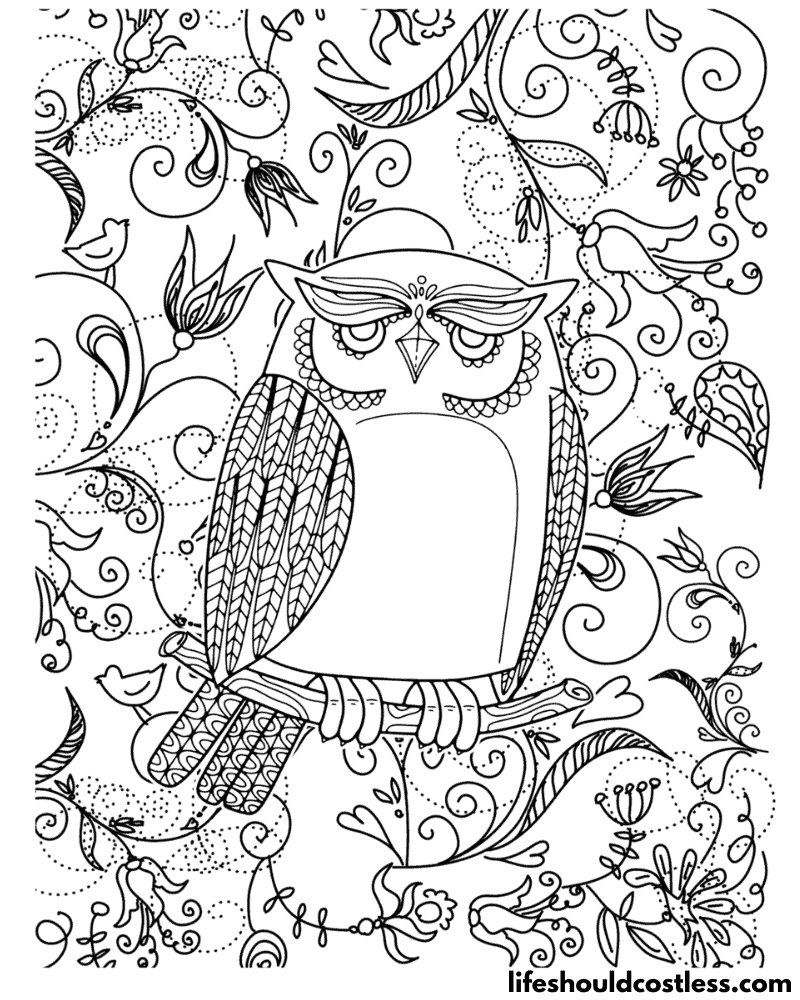 Owl Coloring Pages Example