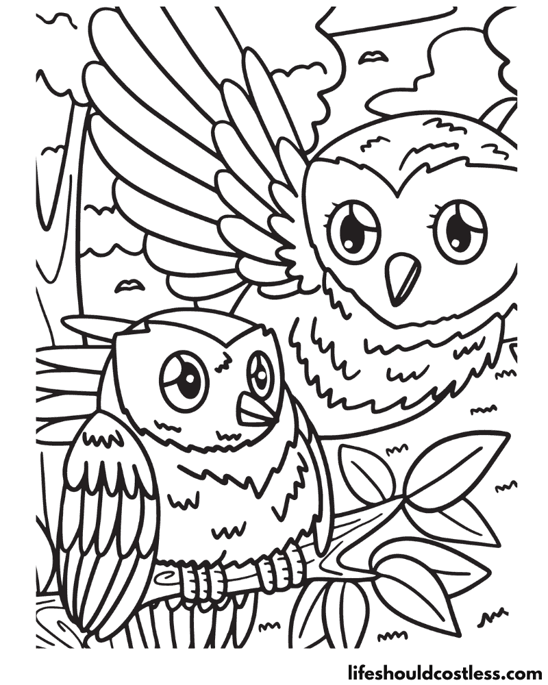 Owls Coloring Page Example