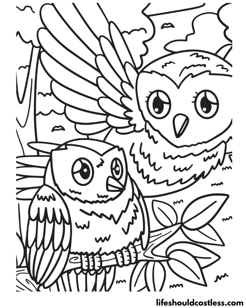 Owl Coloring Pages – 30 Printable Sheets - Easy Peasy and Fun