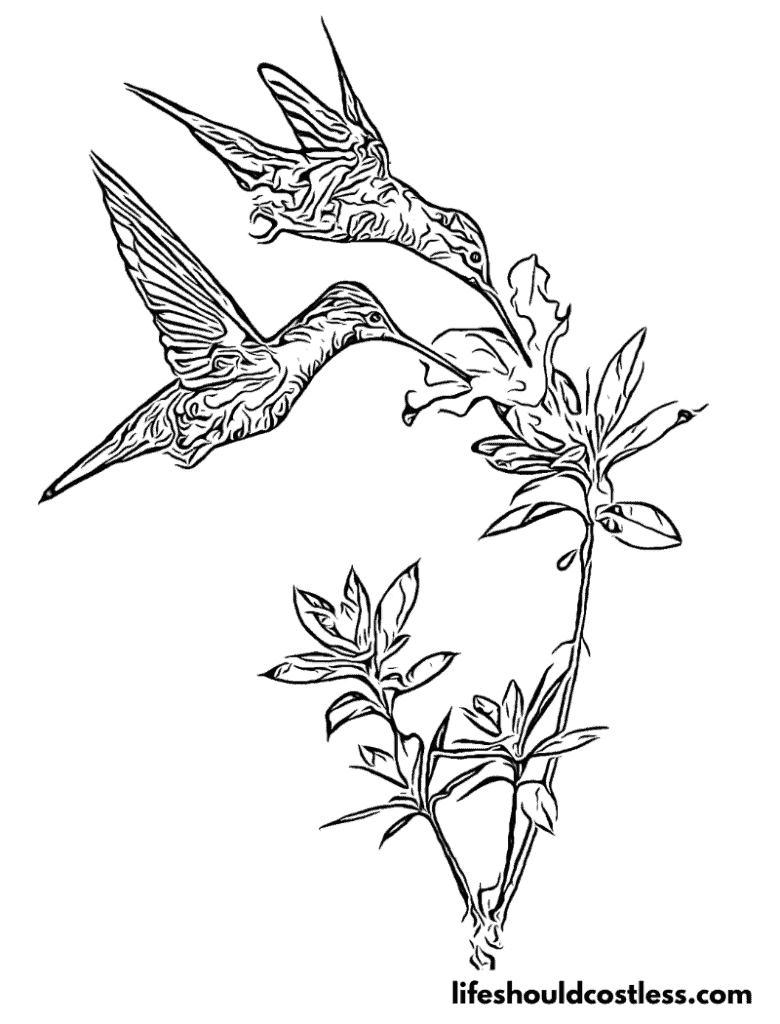 Realistic two hummingbirds with flowers example