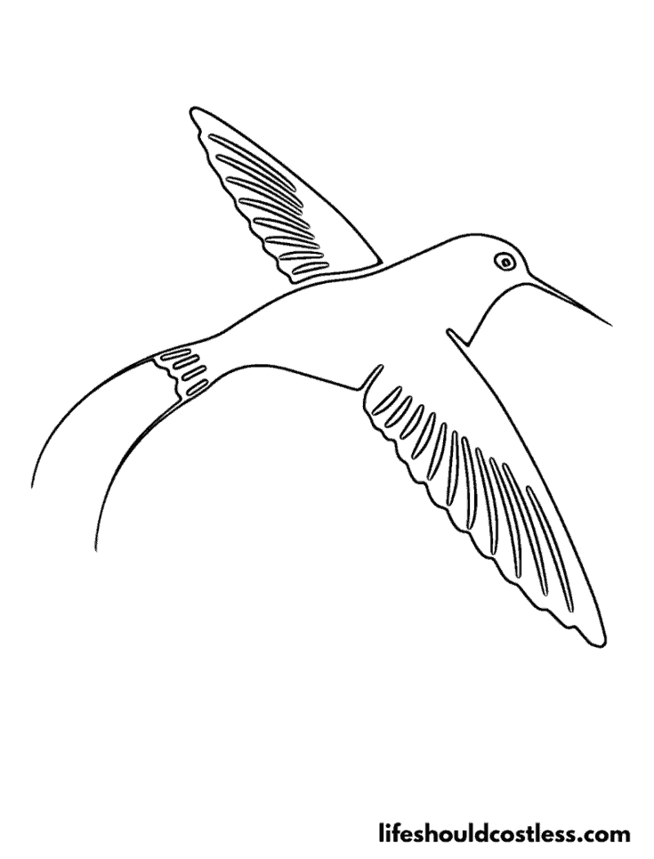 Simple hummingbird example