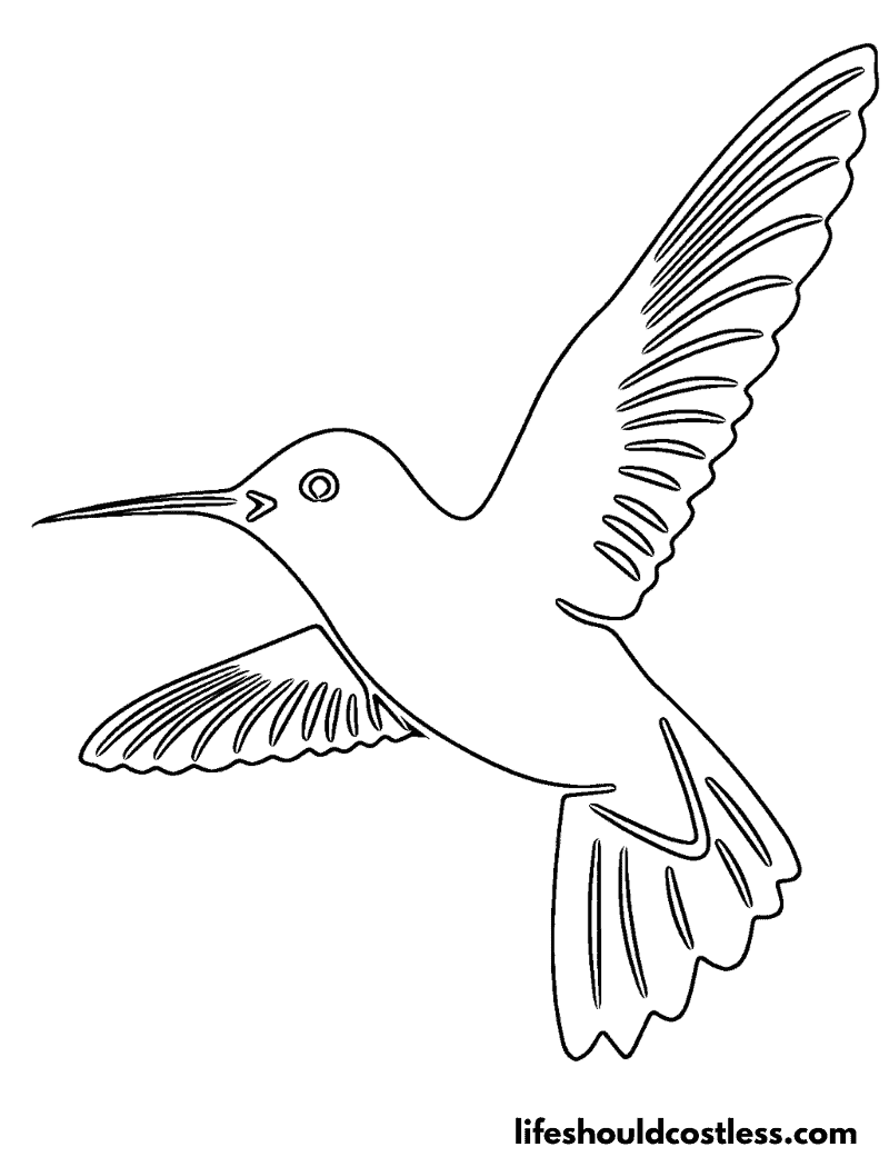 Hummingbird Coloring Pages (free PDF prints) - Life Should Cost Less