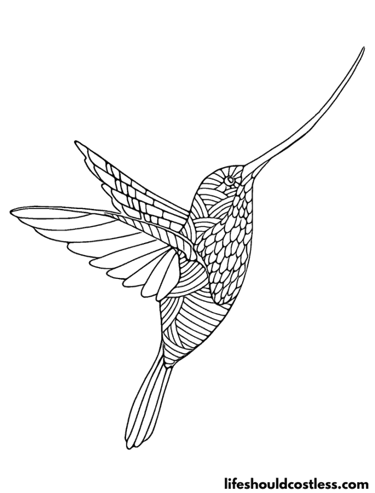 Patterned hummingbird example