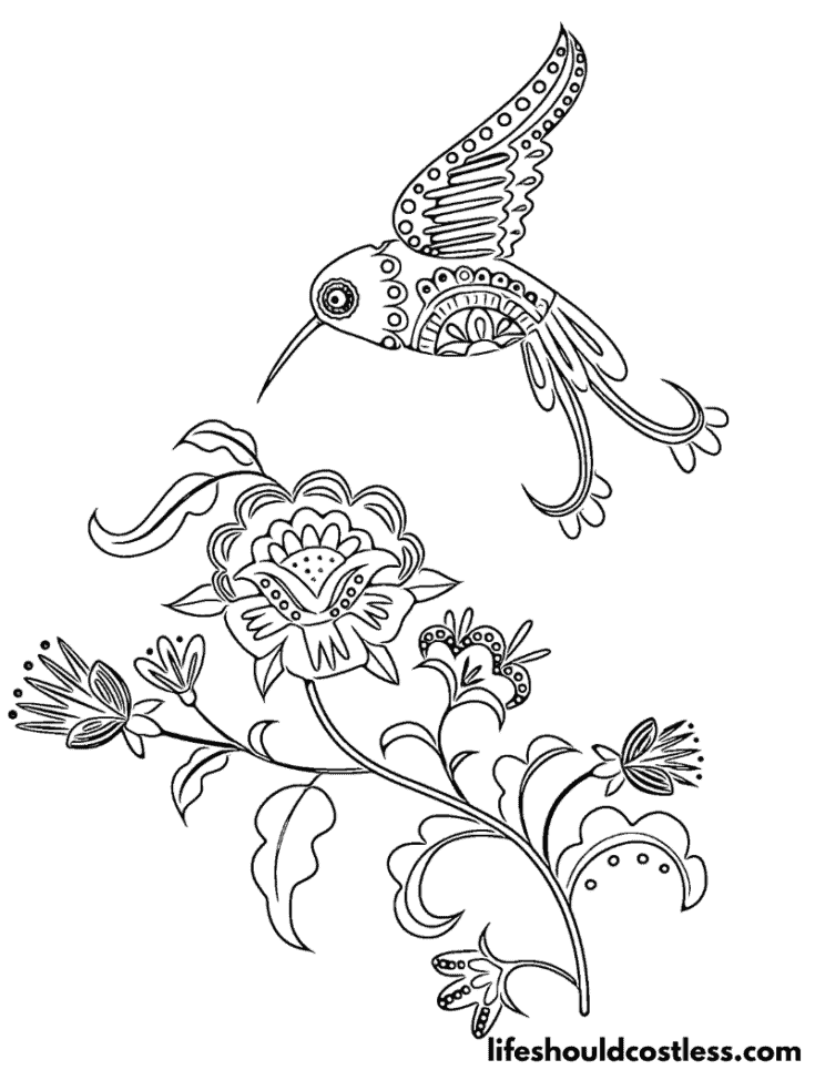 Whimsical Patterned Hummingbird with flowers Coloring Page example