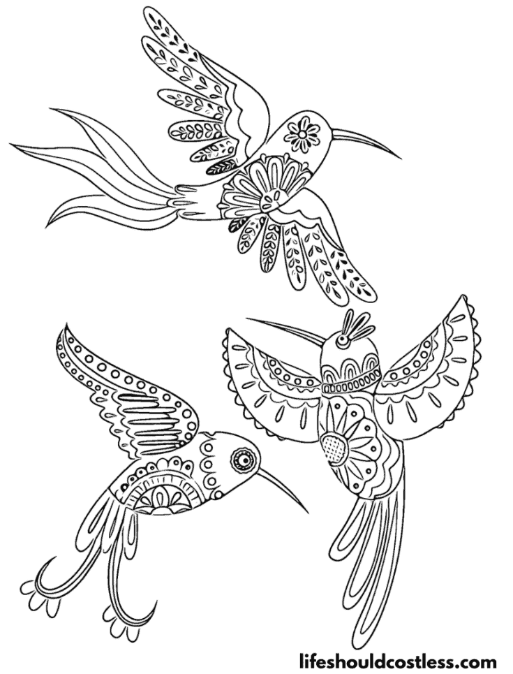 Whimsical Patterned Hummingbirds Coloring Page example