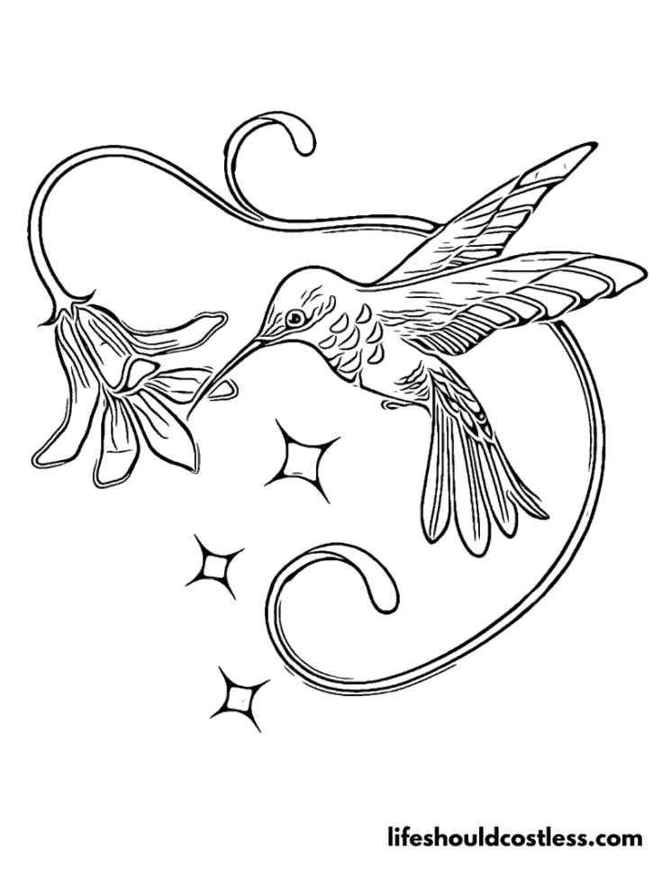 Whimsical hummingbird with flower example