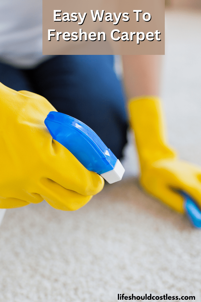 Easy Ways To Freshen Carpet Life Should Cost Less