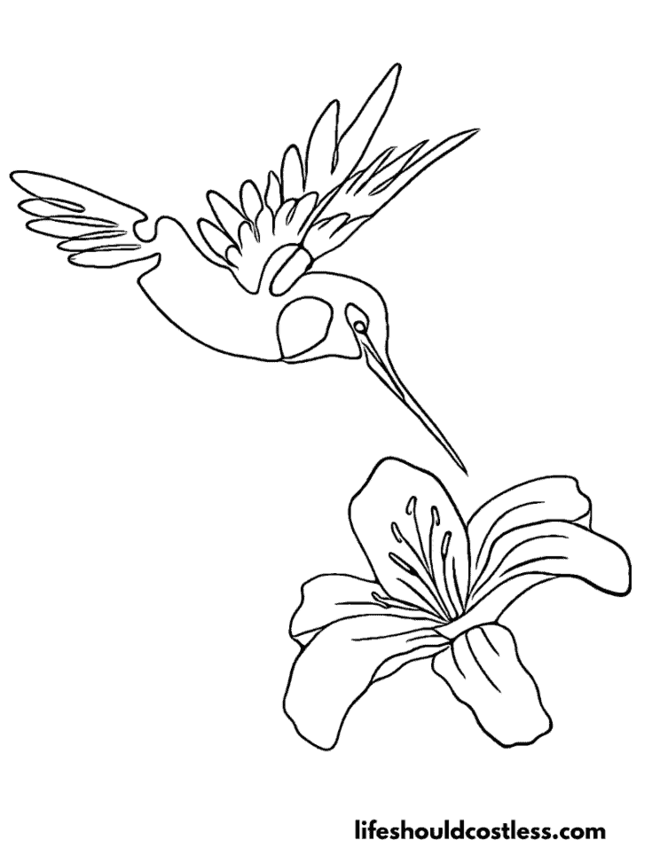 Cartoon hummingbird with flower outline example