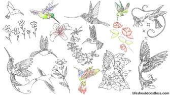 coloring hummingbird pages (free printable pdf templates)
