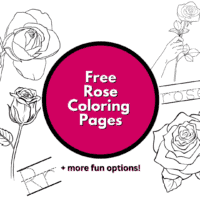 coloring page roses