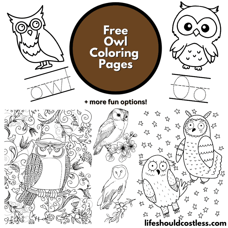 coloring pages of owls