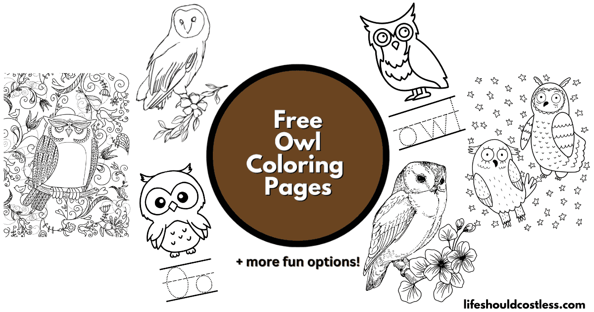 Girl Owls Coloring Pages - Free & Printable!