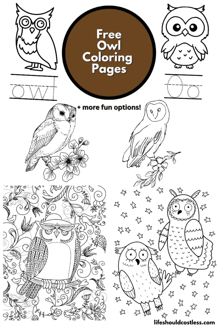 Flow Drawing: How to Draw an Owl - Arty Crafty Kids