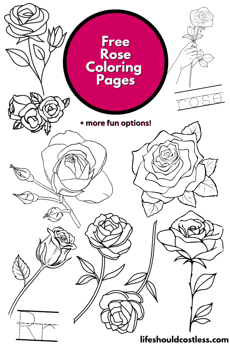 valentine rose coloring pages