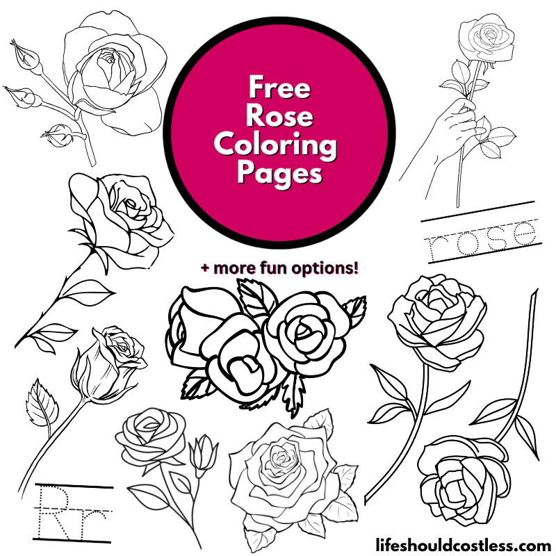 roses coloring pages