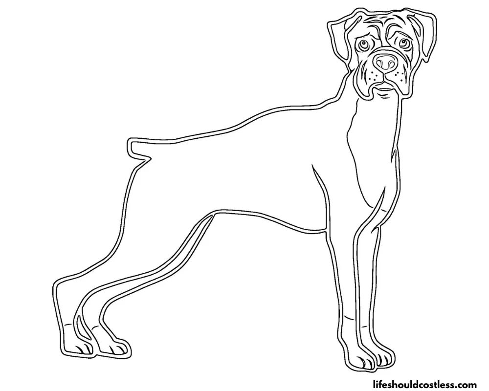 Boxer Dog Outline Free Coloring Page Example