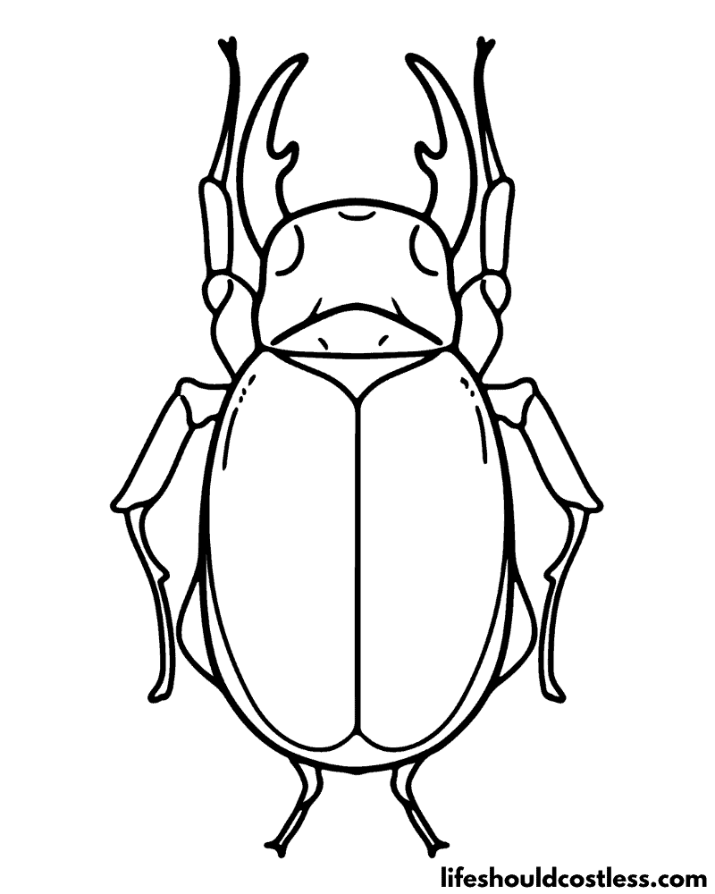 Coloring Pages Insect Example