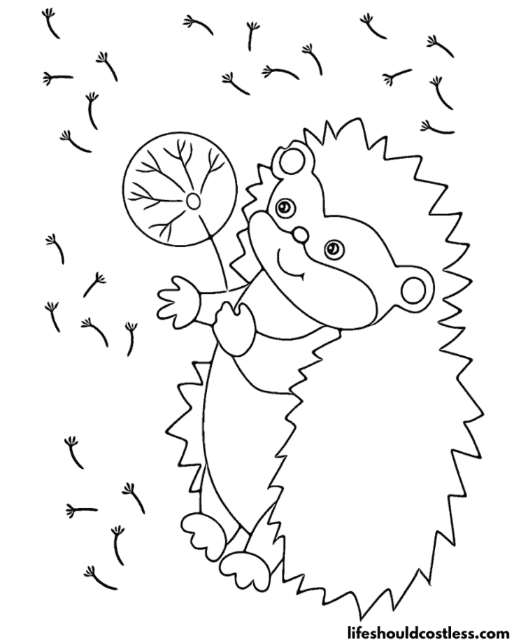 Hedgehog Making Wishes Color Sheet Example