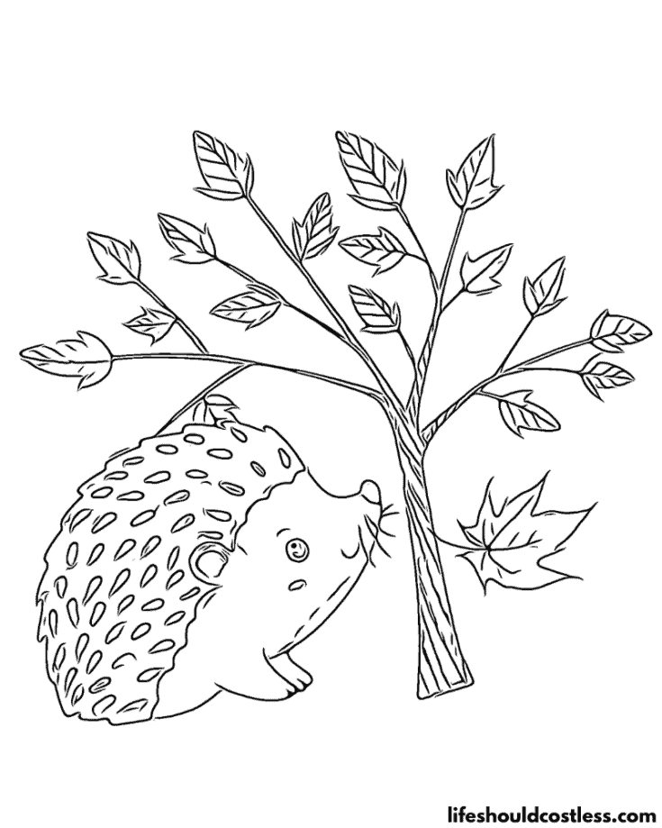 Hedgehog Under A Bush Color Sheet Example