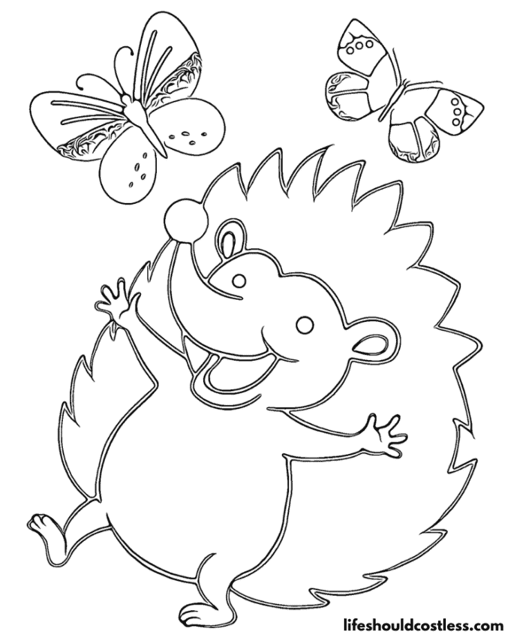 Hedgehog With Butterflies Color Sheet Example