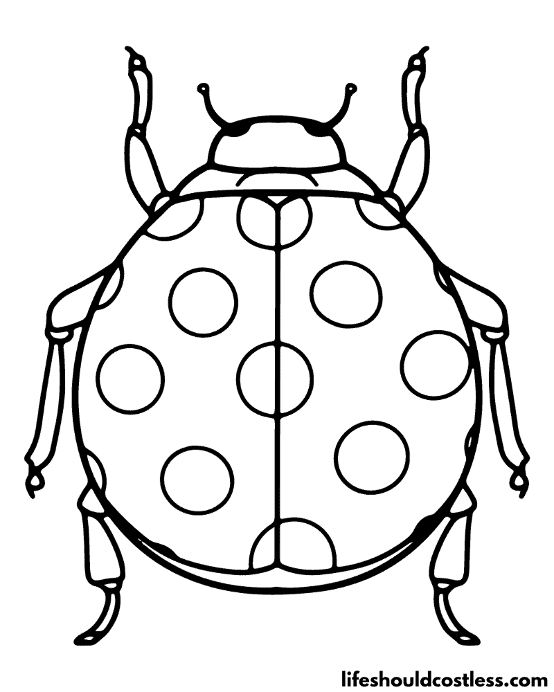Insects Coloring Page Example