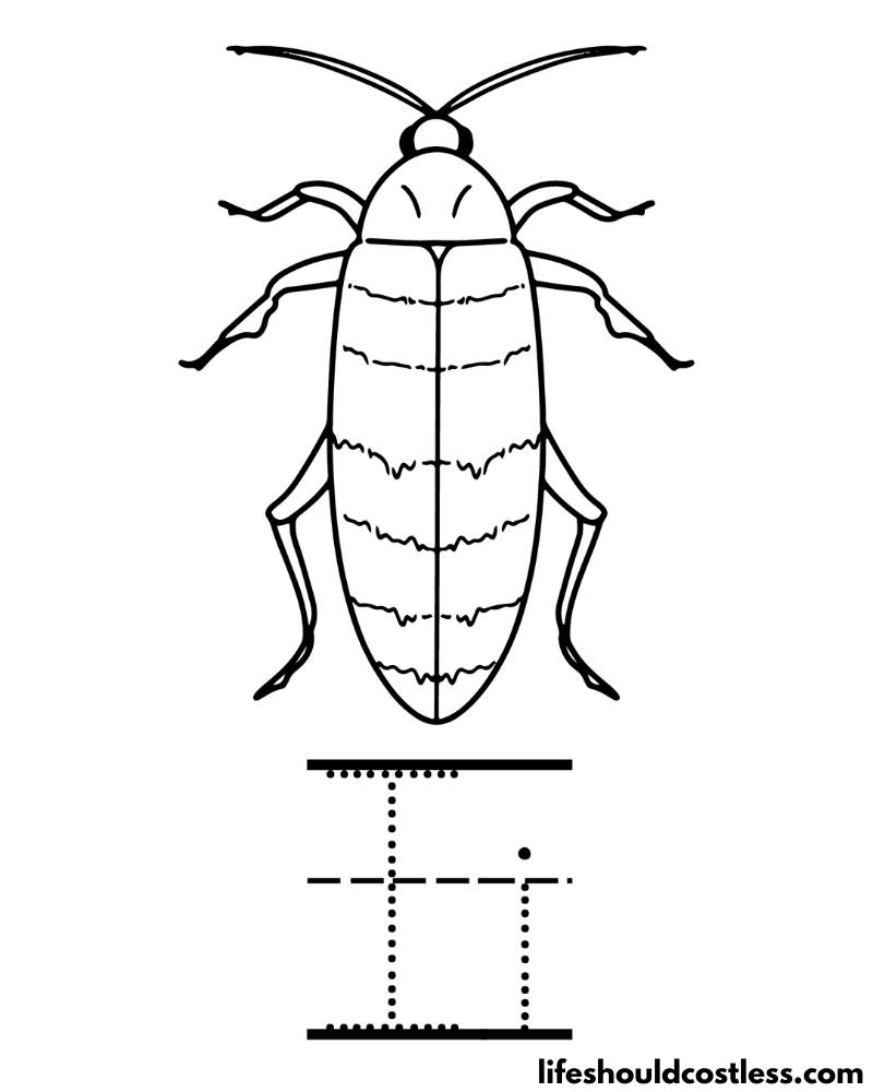 Letter I Is For Insect Coloring Page Example