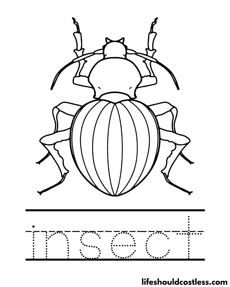 Letter I Is For Insect Worksheet Example
