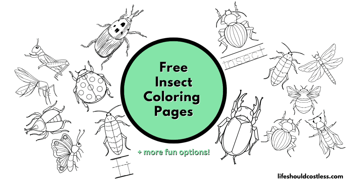 Insect Coloring Pages (free PDF prints) - Life Should Cost Less