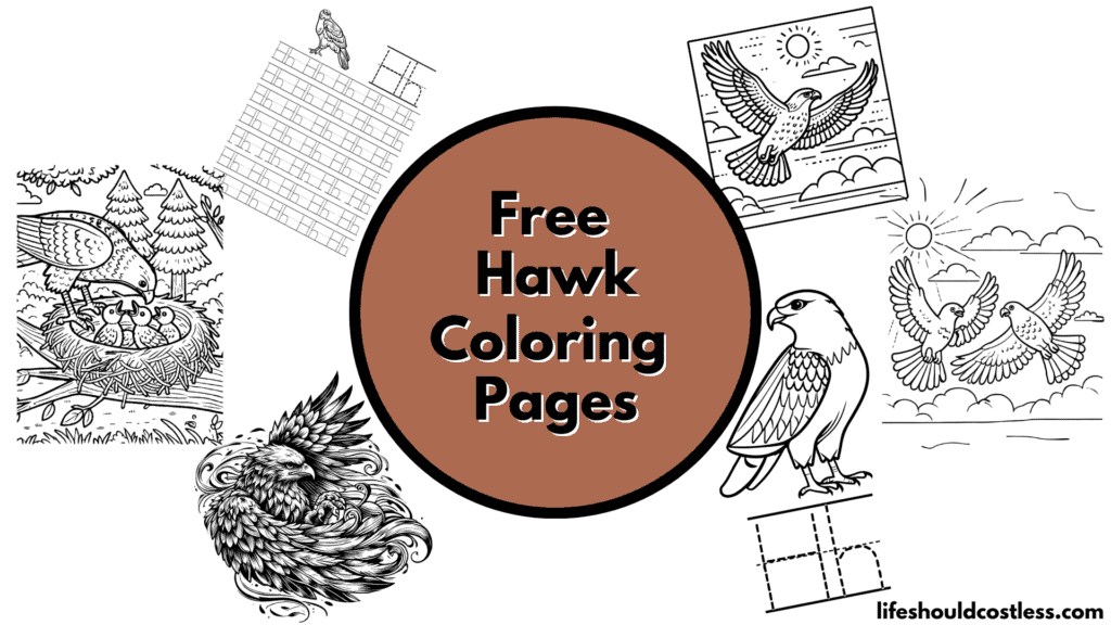 Hawk coloring pages.