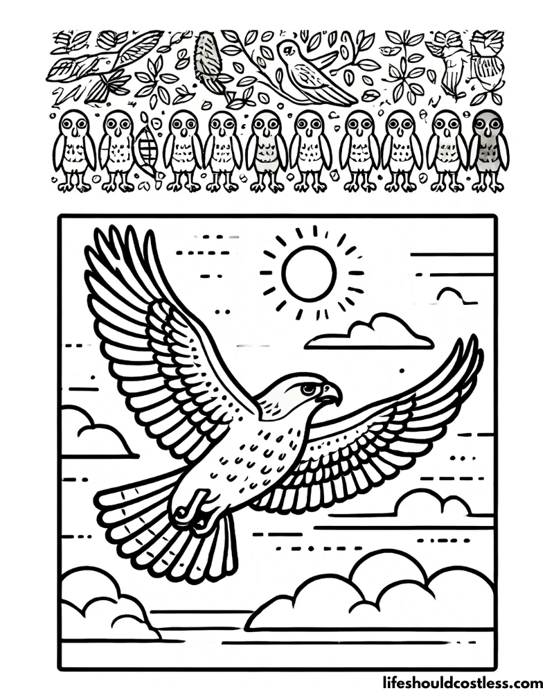 Hawk coloring pages example