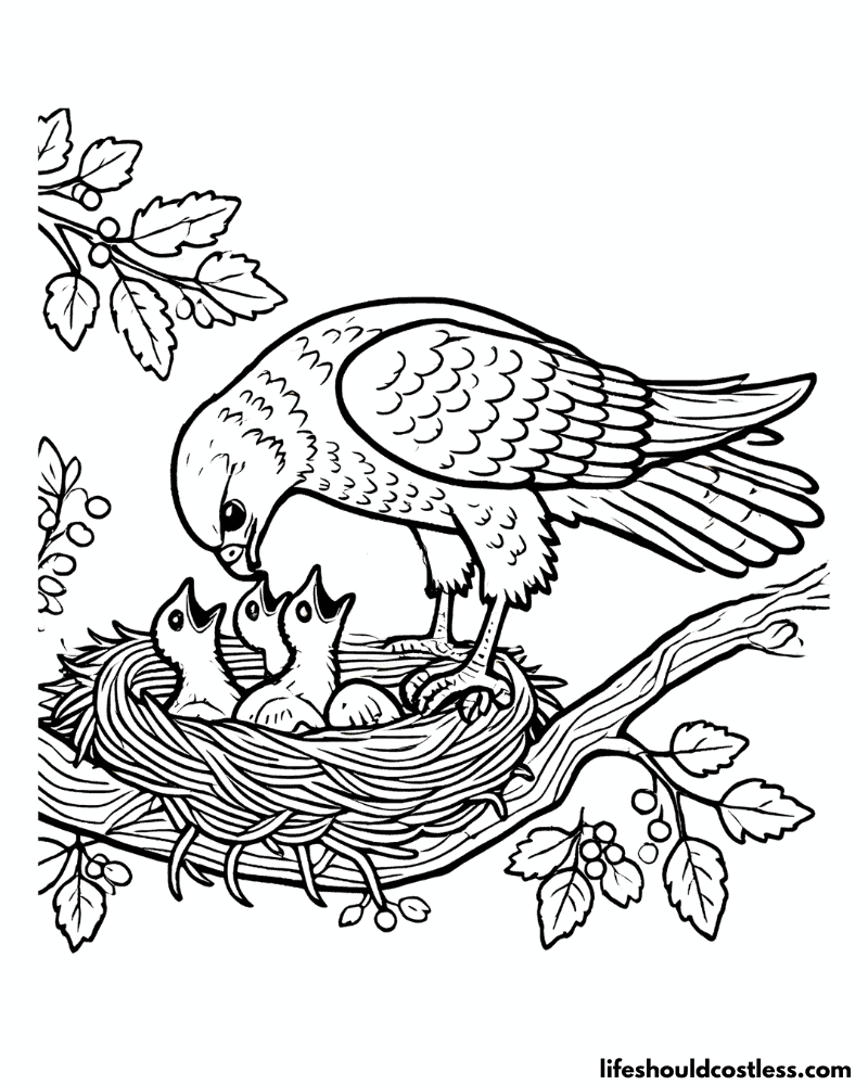 Hawk coloring sheet example