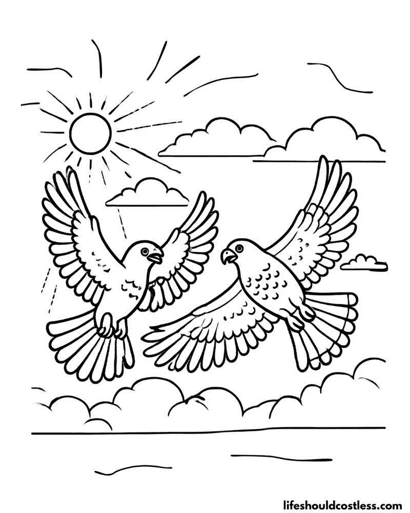 Hawk pictures to color example