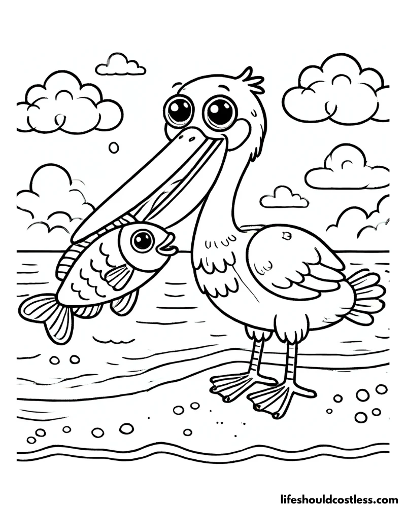 Pelican pictures to color example