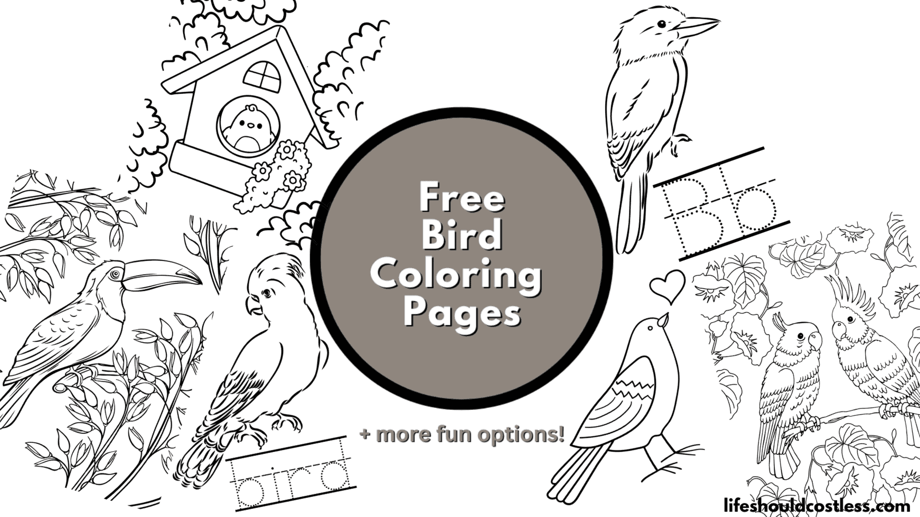 cool bird coloring pages