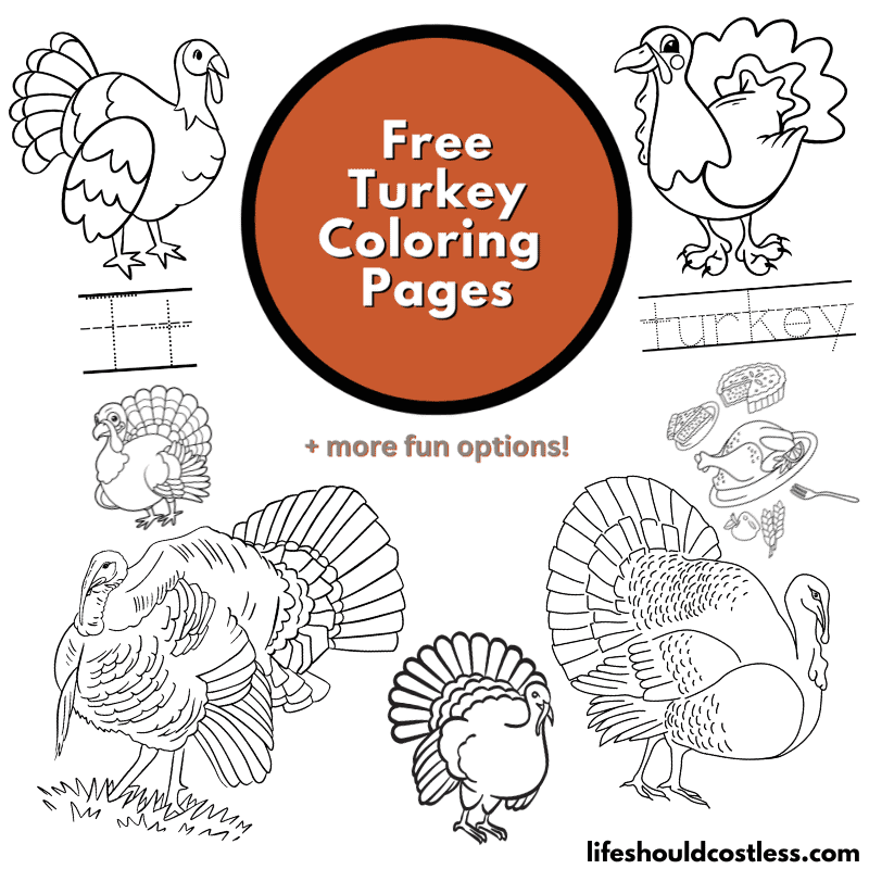 Turkey Coloring Pages (free printable PDF templates) - Life Should Cost ...