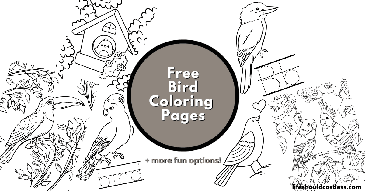 parakeet coloring pages to print