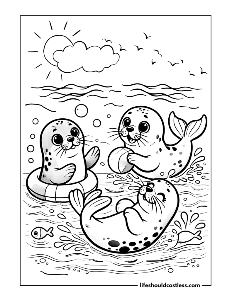 Seal colouring pages