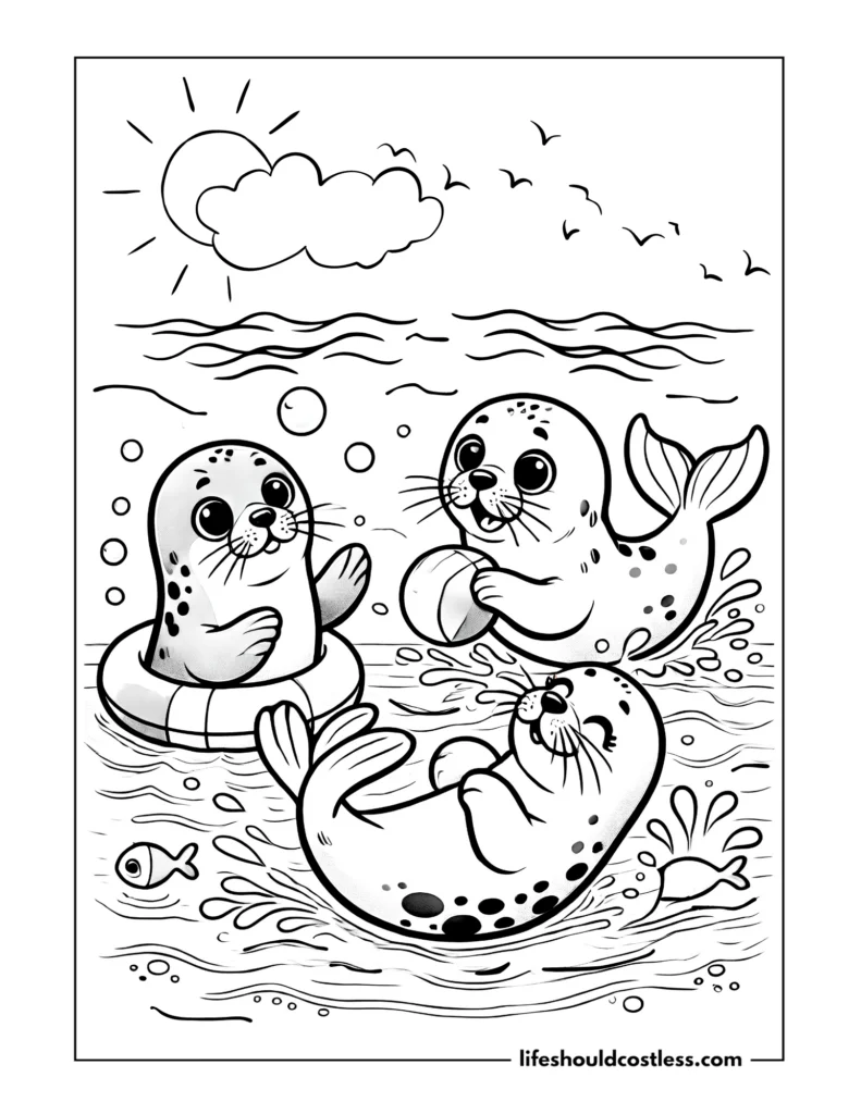 Seal colouring pages