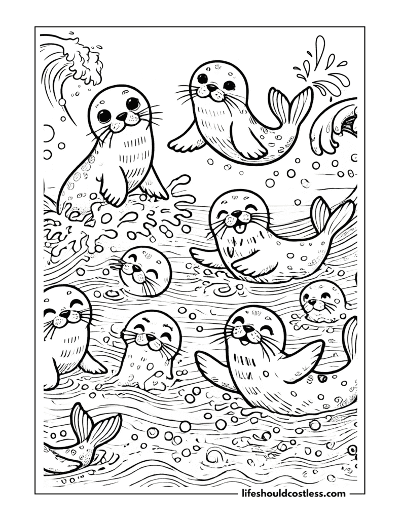 Seals coloring page