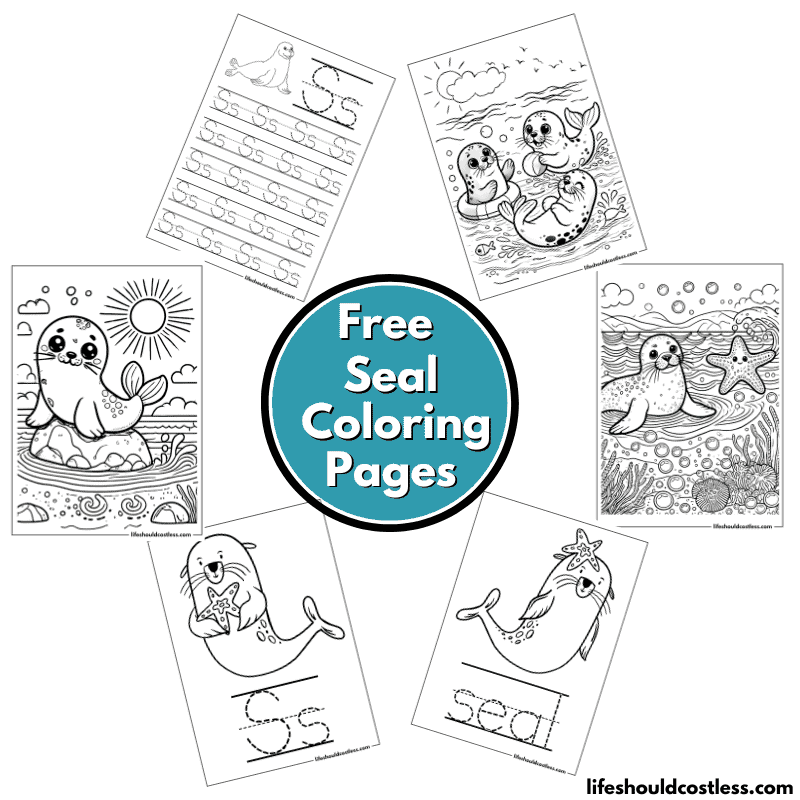 seal coloring book