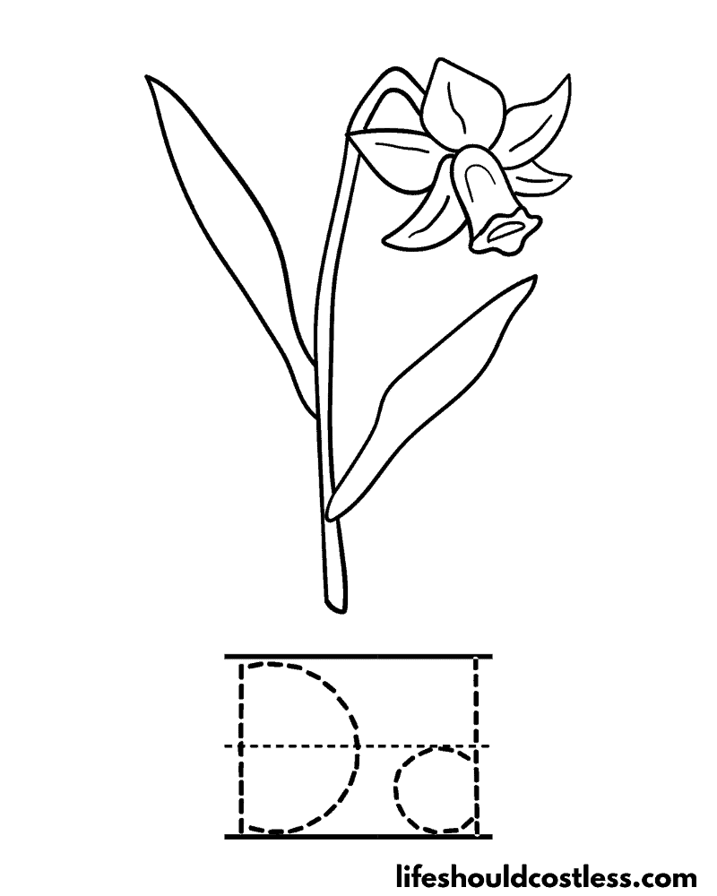 Letter D is for daffodil coloring page example