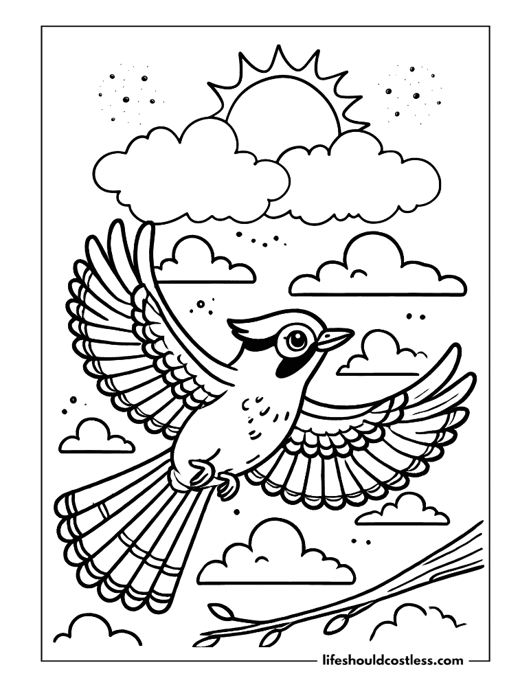 Blue jay colouring page