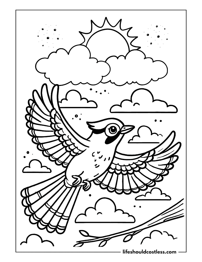 Blue jay colouring page