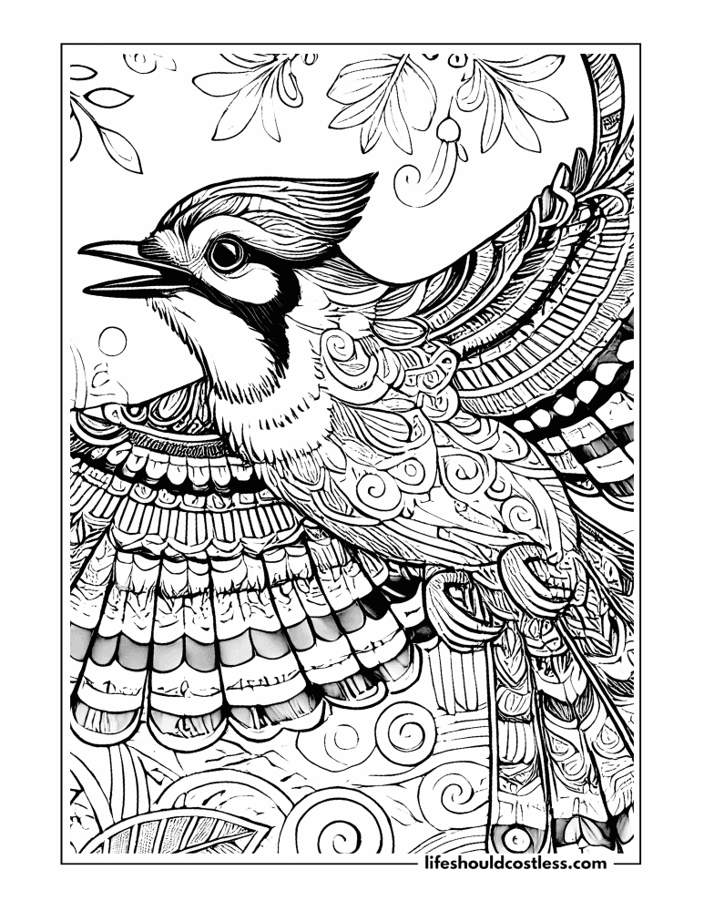 Blue jays coloring pages