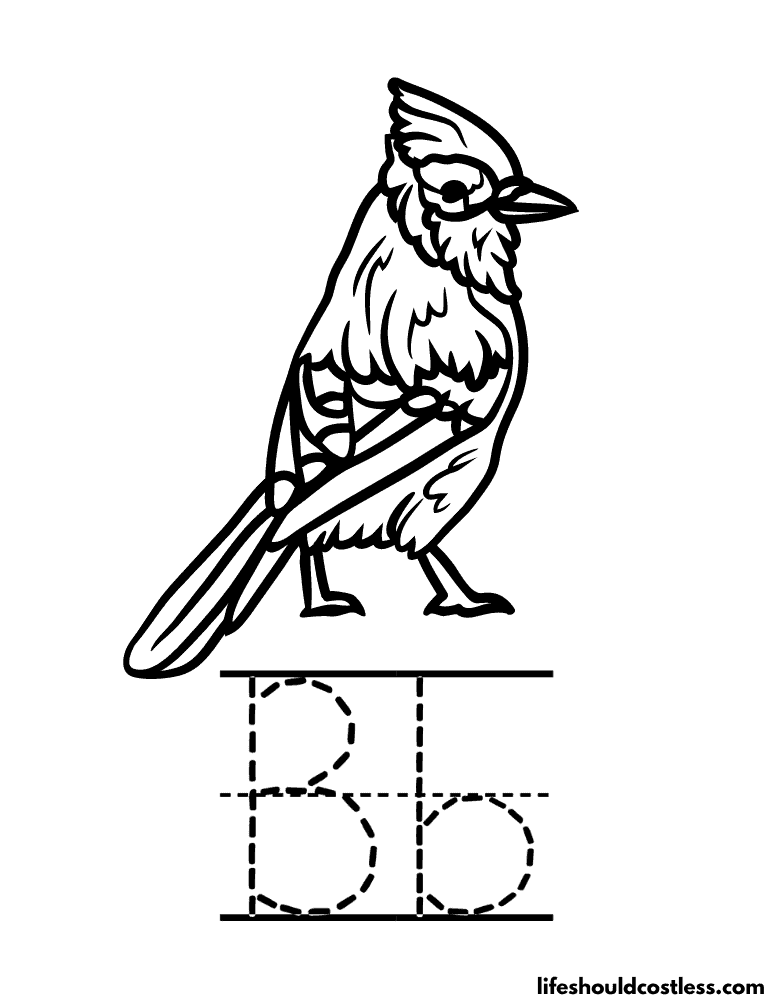 Letter B is for blue jay coloring page example