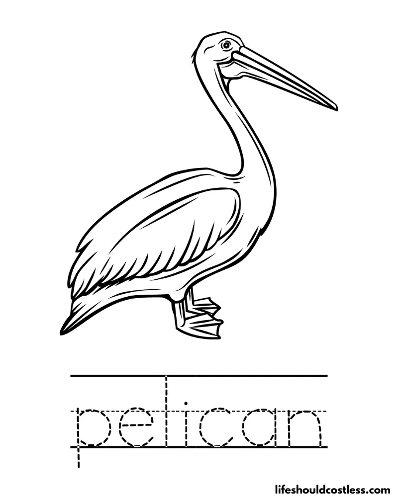 Letter P is for Pelican worksheet example