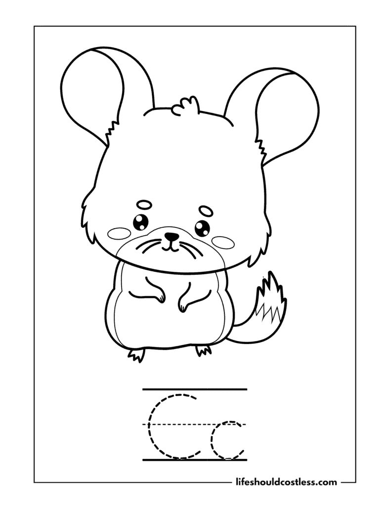 Letter C is for chinchilla coloring page